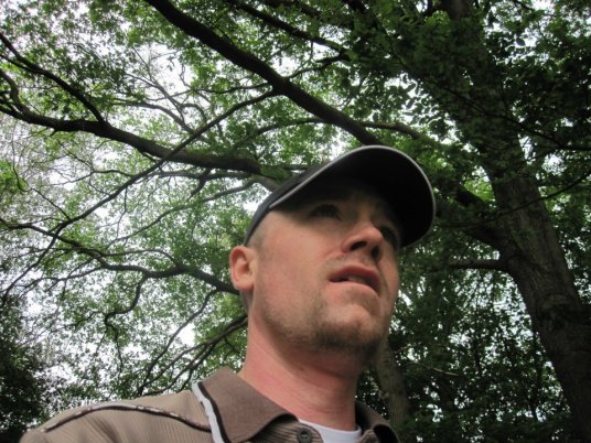 424083_315858175116040_954339896_n