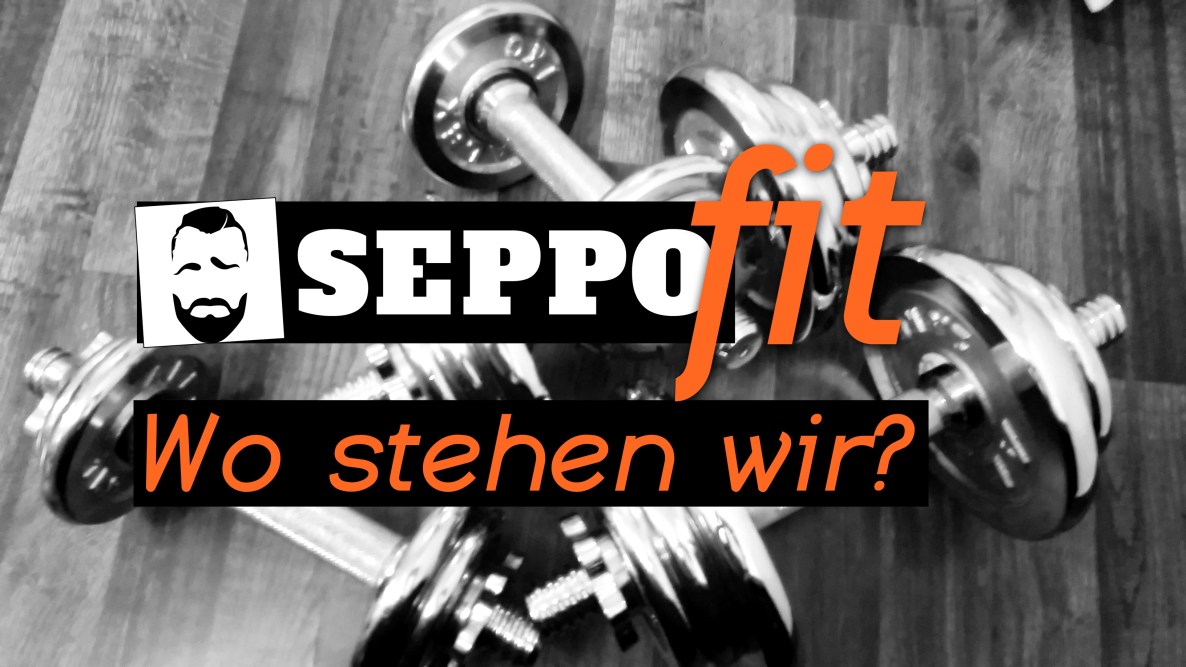 seppoFIT 1